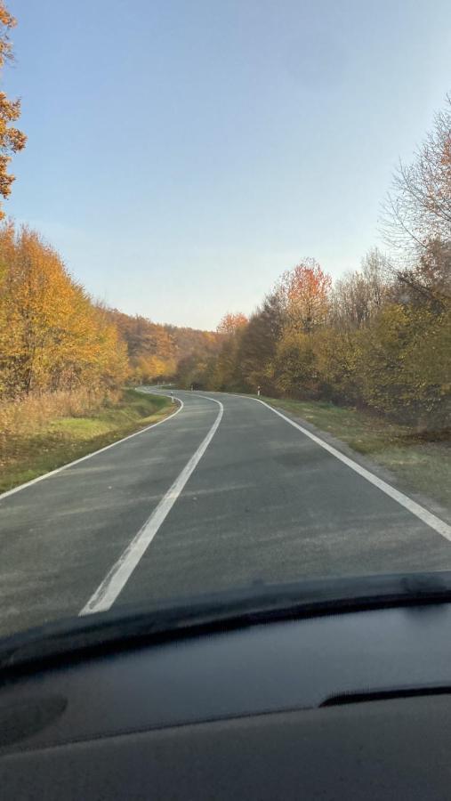 Villa Papuk Vocin Екстериор снимка