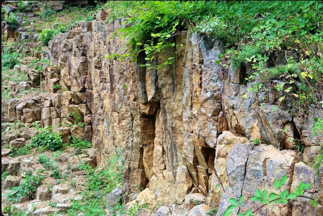 Villa Papuk Vocin Екстериор снимка